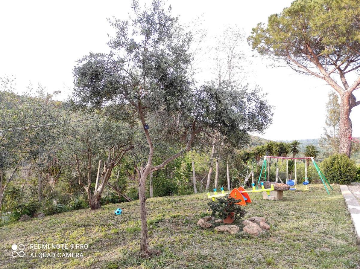 Dimora Il Camaleonte Apartments In Nature With Pool Civitavecchia Exterior foto