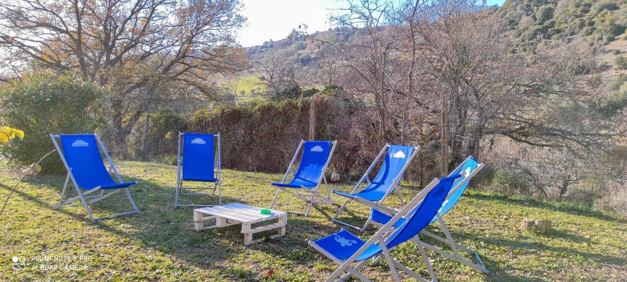 Dimora Il Camaleonte Apartments In Nature With Pool Civitavecchia Exterior foto